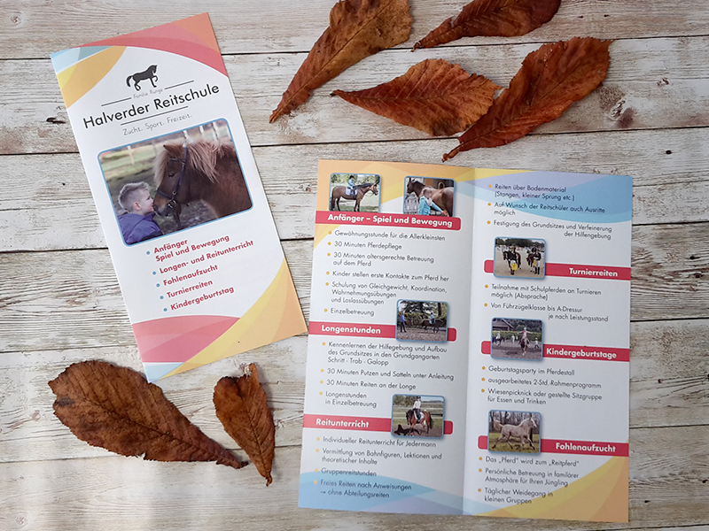 Flyer Reitschule